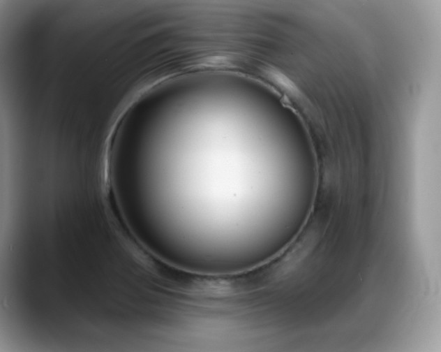 X0000088861370200706081145