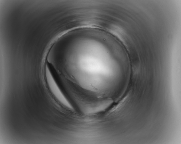 X0000088861371200706081145