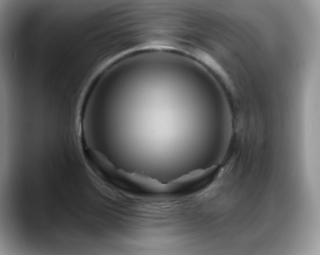 X0000088861372200706081145