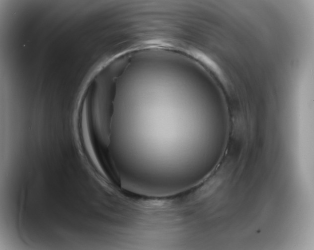 X0000088861373200706081145