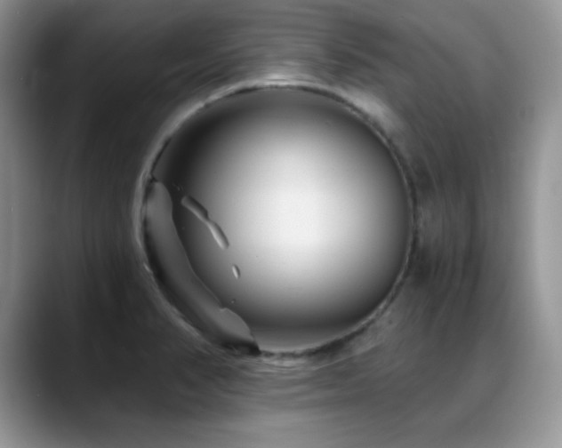 X0000088861374200706081145