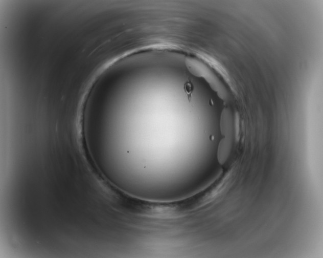 X0000088861375200706081145