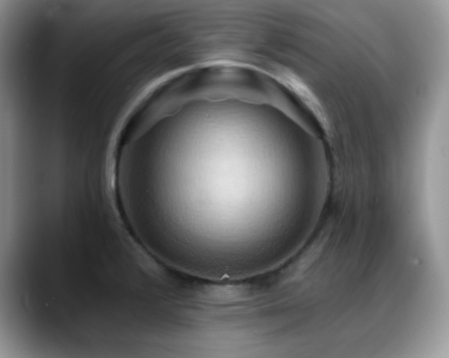 X0000088861376200706081145