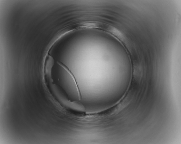 X0000088861378200706081145