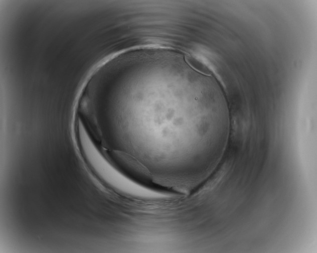 X0000088861379200706081145