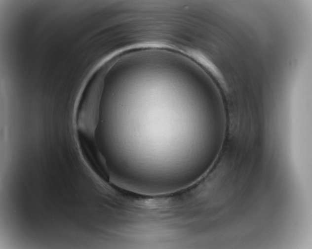 X0000088861380200706081145