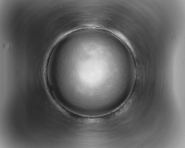 X0000088861381200706081145