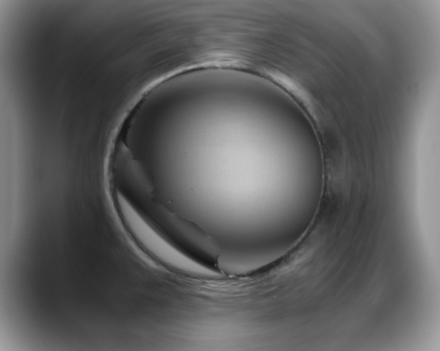 X0000088861383200706081145