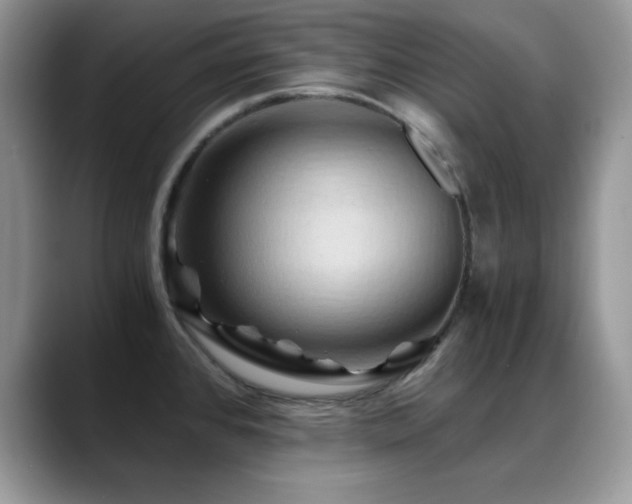 X0000088861384200706081145
