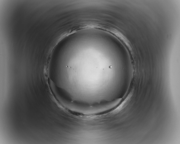 X0000088861385200706081145
