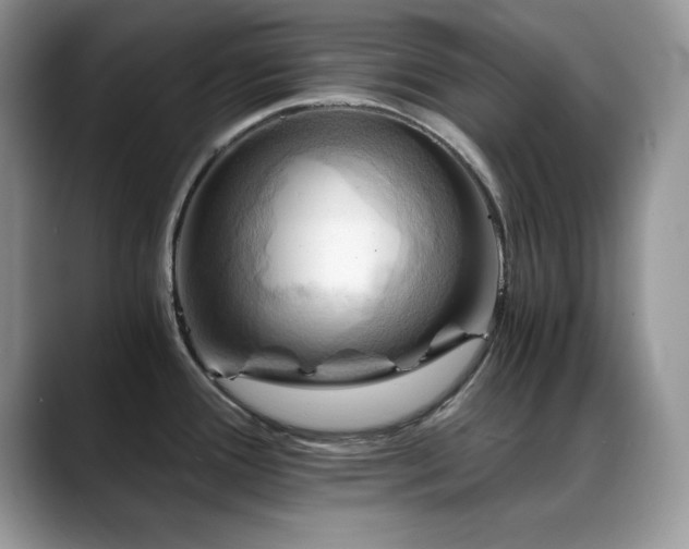 X0000088861388200706081145