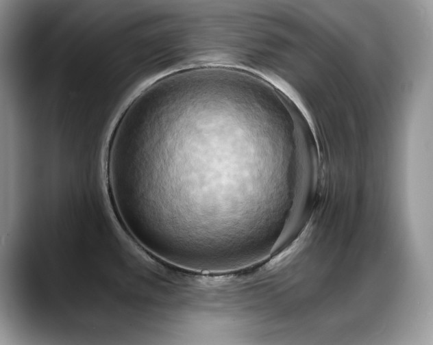 X0000088861389200706081145