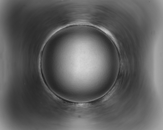 X0000088861390200706081145