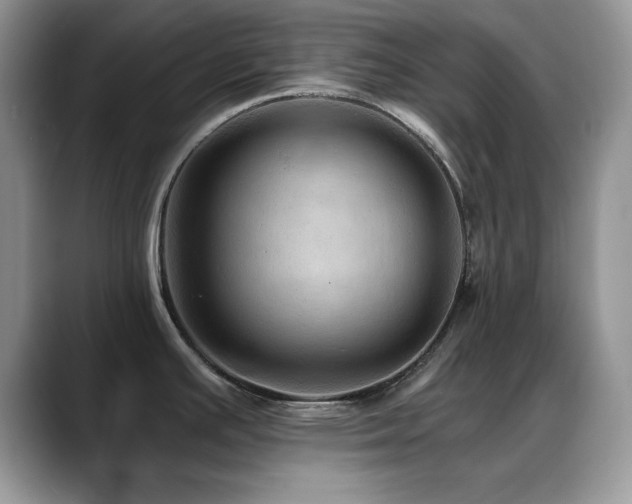 X0000088861391200706081145