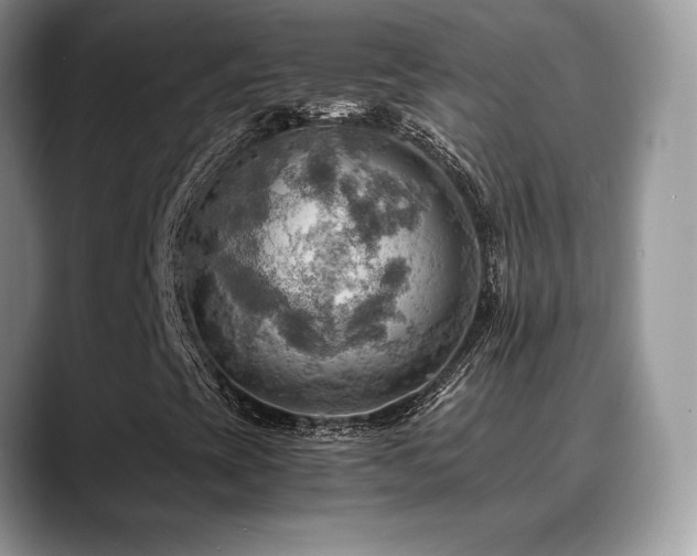 X0000088861393200706081144