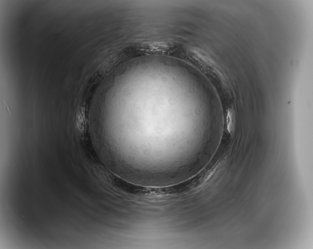 X0000088861395200706081144