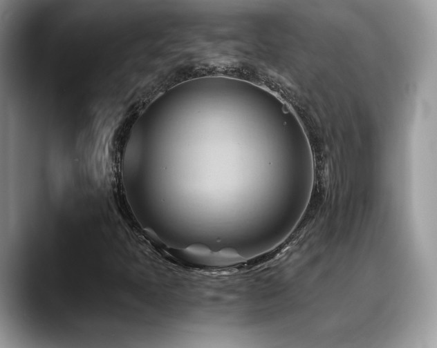 X0000088861397200706081144