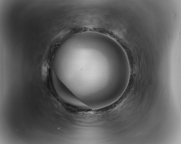 X0000088861398200706081144
