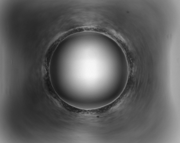 X0000088861400200706081144