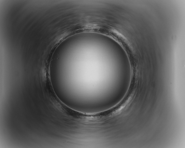 X0000088861401200706081144