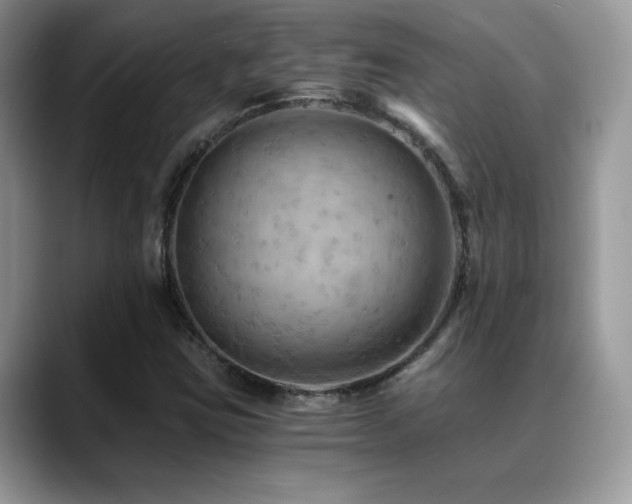 X0000088861403200706081144