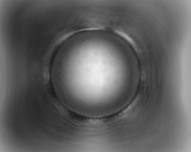 X0000088861407200706081144