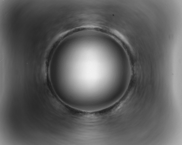 X0000088861408200706081144
