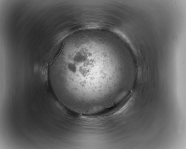 X0000088861409200706081144