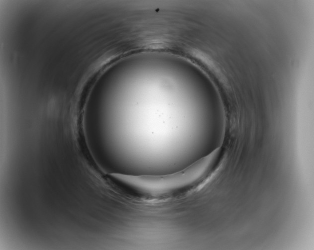 X0000088861410200706081144