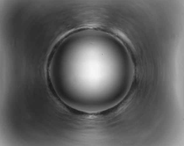 X0000088861412200706081144
