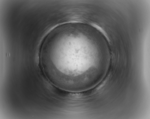 X0000088861415200706081144