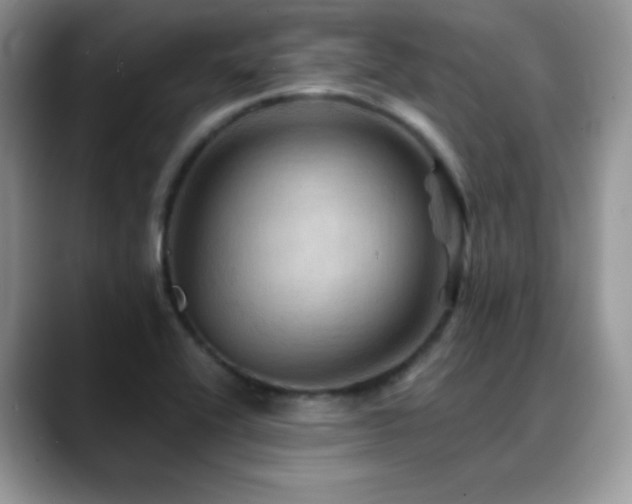 X0000088861416200706081144
