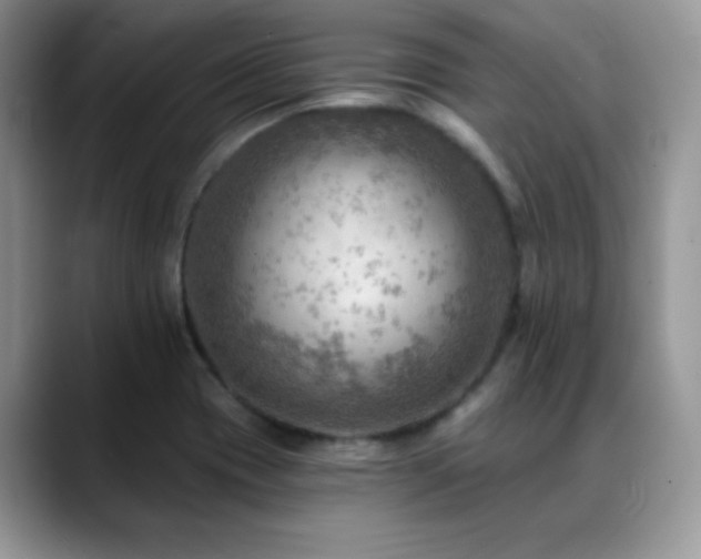 X0000088861417200706081144