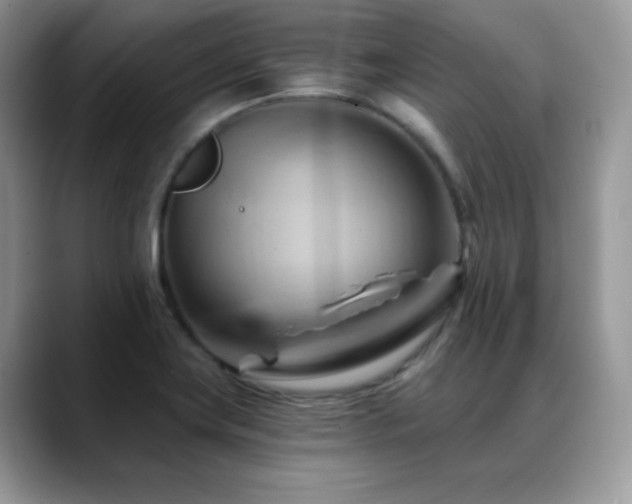 X0000088861419200706081144