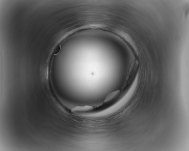 X0000088861420200706081144