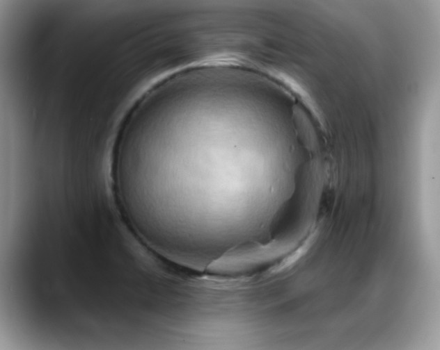 X0000088861422200706081144