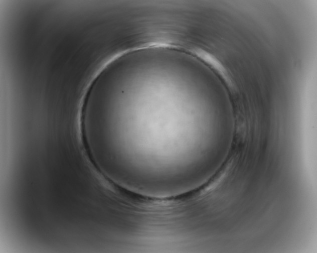 X0000088861423200706081144