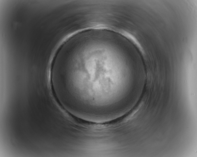 X0000088861424200706081144