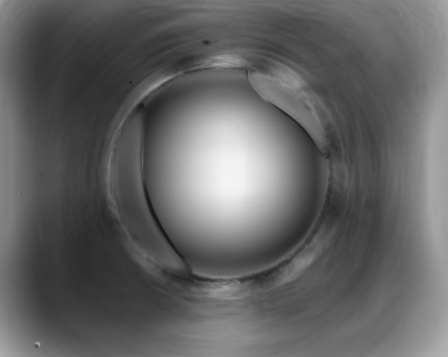 X0000088861426200706081144