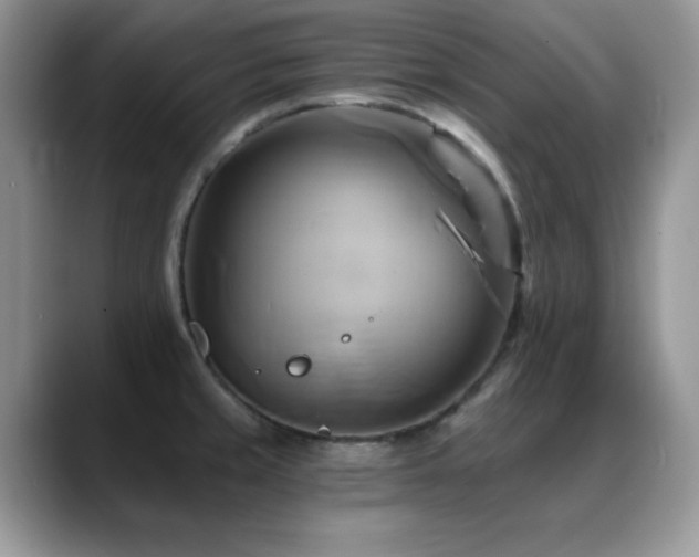 X0000088861429200706081145