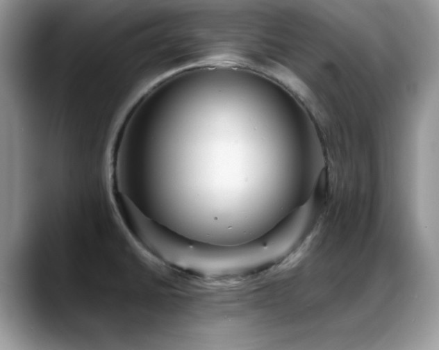 X0000088861430200706081145