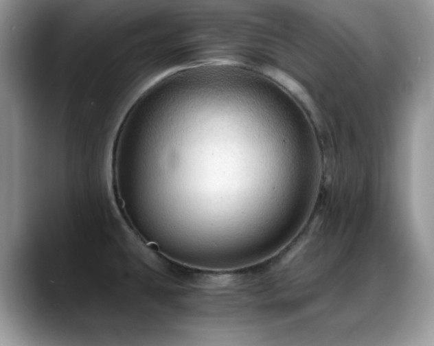 X0000088861431200706081145