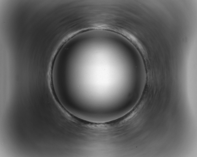 X0000088861432200706081145