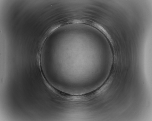 X0000088861433200706081145