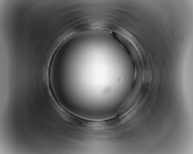 X0000088861434200706081145