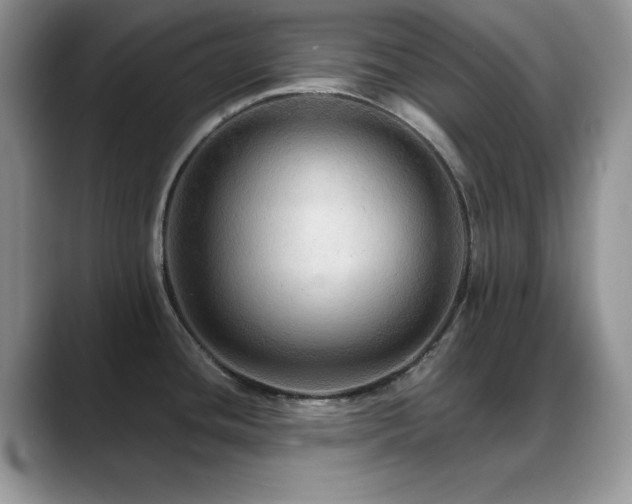 X0000088861436200706081145