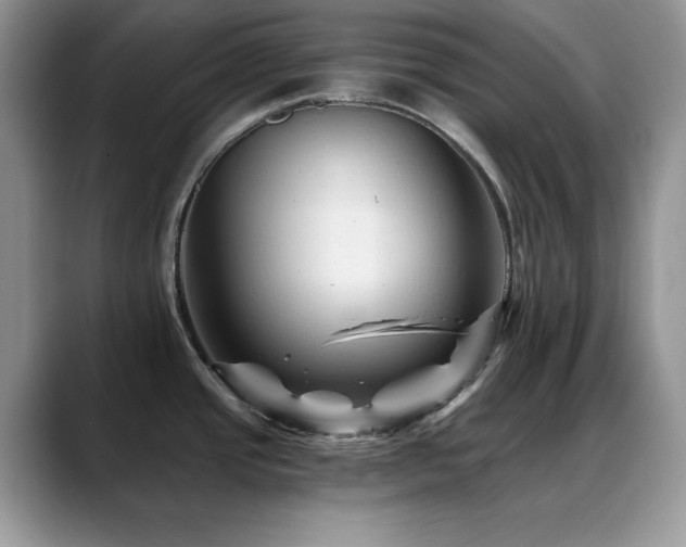 X0000088861437200706081145