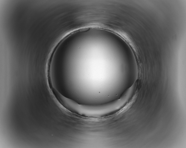 X0000088861438200706081145