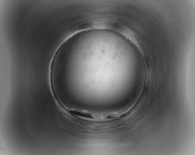 X0000088861439200706081145
