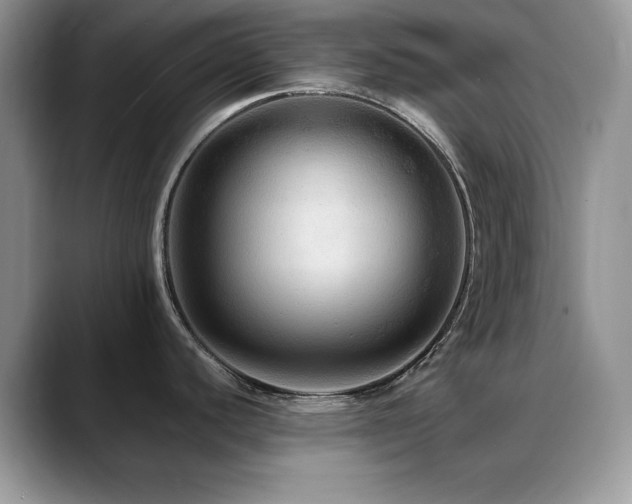 X0000088861440200706081145